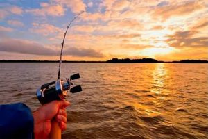 pesca
